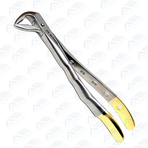 Nuevas Pinzas para Extracción de Raíces Dentales Equinas, Instrumentos Dentales Equinos, Instrumento Quirúrgico Dental Veterinario - Product Image 5