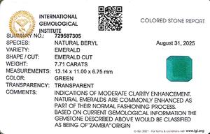 Esmeralda Octogonal Verde de 7.71 Quilates de Zambia, Gema Suelta, Tabla Ratti 8.25 - Product Image 6