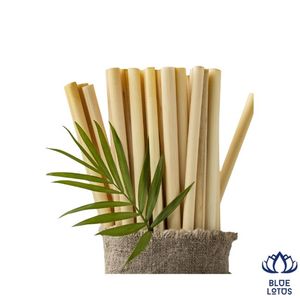 Pajitas de Bambú Reutilizables y Sostenibles, Ecológicas, Juego de Pajitas Premium Más Vendidas, Suministro al por Mayor - Product Image 1