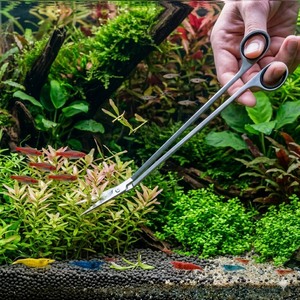B-Fly Luxury Eco-Friendly Stainless Steel 10-Inch Aquascaping Scissors for Aquarium Maintenance in Bags - Product Image 1