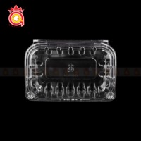 QUANG QUAN Contenedor de plástico PET transparente desechable Cajas transparentes sostenibles Uso de almacenamiento de tapa con bisagras-para almacenamiento de pasteles de frutas