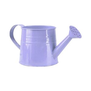 Decorative <b>Iron</b> Garden Water Can Decorative outdoor display <b>Lightweight</b> Garden Watering Can By Supplier At Bulk Price - Product Image 2