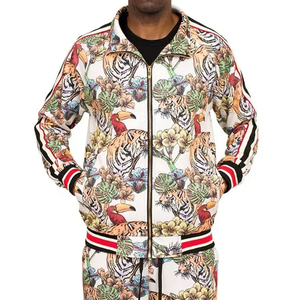 Pakistan Made Autumn Solid Color Hooded Breathable Lightweight Quick Dry Casual Men Sublimation <b>Tracksuit</b> 100% Polyester Bulk - Product Image 3