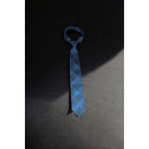 Tie Benon elegante azul y gris Plaid Tie accesorios de moda para hombres - Product Image 2