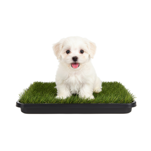 Orinal para mascotas para interiores y exteriores, aspecto de hierba real, resistente a la intemperie, control de olores y fácil mantenimiento - Product Image 1