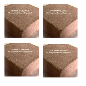 Sustrato de Fibra de Coco Orgánica Premium para Cultivo Hidropónico y en Maceta con Alta Capacidad de Retención de Agua - Product Image 3