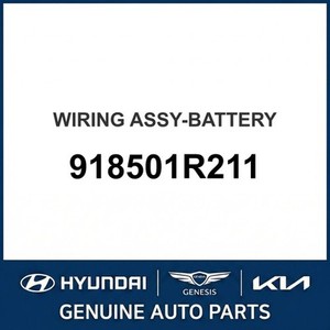 Nouvelles batteries Accent 918501R211 - Product Image 1