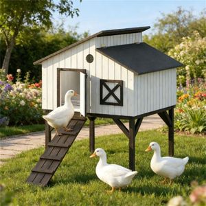 Nido Rialzato per Conigli e Pollaio, Gabbia per Piccoli Animali, Pratica e Conveniente - Product Image 1