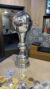 Stainless Steel Sports <b>Trophy</b> <b>Cup</b> Customized Achievement Award Display Durable Premium Quality - Product Image 6