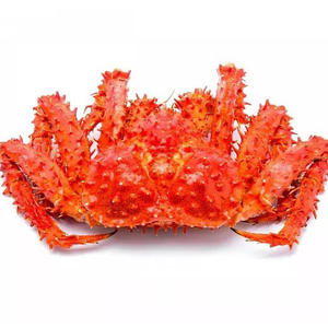 Proveedor de Cangrejos Rey Congelados / Cangrejos Rey Vivos en Venta / Pinzas de Cangrejo Rey con Descuento / Racimos de Cangrejo Rey - Product Image 1