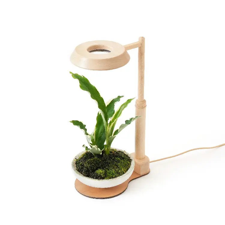 [2.9R] Custom LED Smart Grow Light Wooden Plant Desk Lamp Home Morden Luxury for Planted