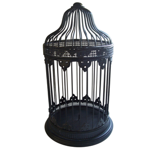 Cage à oiseaux ronde en fil de fer orange, suspendable, avec base décorative pour usage intérieur - Product Image 4