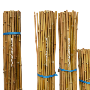 Estacas de Soporte para Plantas de Bambú Cendani Natural, Ecológicas, Duraderas, Hermosas, Secas y Rectas (Tamaño Personalizado) - Product Image 5
