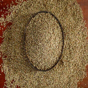Graines d'Ajwain Indien Aromatiques pour Collections d'Épices Traditionnelles, Entreprises d'Ingrédients Alimentaires et Approvisionnement Mondial en Gros - Product Image 6