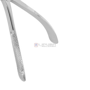 Pinzas de Extracción Tipo Berten de Calidad Premium PLUS 18, Instrumento Dental de Extracción de Dientes de Acero Inoxidable Alemán de Grado Quirúrgico - Product Image 3