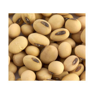 Graines de moutarde noire 100% naturelles, fraîches et entières, herbe culinaire, 38% de teneur en huile pour usages culinaires, durée de conservation de 12 à 18 mois - Product Image 6