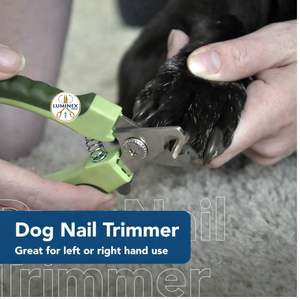 Coupe-ongles professionnels pour chien en acier inoxydable, lame à bout arrondi, design ciseaux pour droitiers, manche court pour le toilettage et l'entretien des griffes - Product Image 3