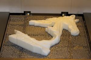 Servicio de Impresión 3D SLA de Alta Precisión en Oferta para Prototipos, Modelos de Ingeniería y Piezas Funcionales para Suministro Mundial - Product Image 6