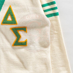 Sorority Delta Sigma T <b>Cardigan</b> Acrylic Knitted Women's Sweater Full Sleeve Greek Letter Delta Sigma Embroidery University Wear - Product Image 3