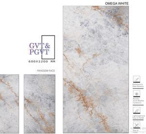 กระเบื้องปูพื้นแบบด้าน 9 มม. กระเบื้องพอร์ซเลนขัดเงา 600x1200 มม. / 24x48 ดีไซน์คลาสสิกทันสมัย เกรด A กระเบื้องทนไฟคุณภาพพรีเมียม - Product Image 1