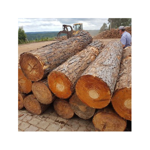 VENTE FLASH - Bois de pin rond de haute qualité - 100% pin naturel - Diamètre 25 cm/33 cm - Product Image 1