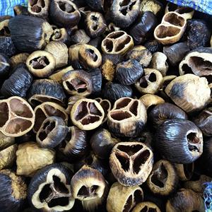 Vaina de Talami Ecológica, Seca, de Diferentes Tamaños, Proveniente de la India, para Decoración de Potpourri - Product Image 4