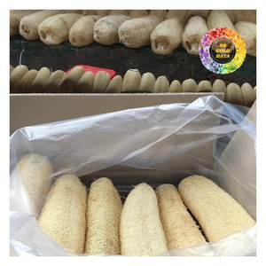 Éponges en loofah écologiques, éponges de bain naturelles en loofah, exfoliantes, pour le corps, pour la douche - Product Image 2