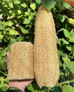 Vietnam Organic Farm Grown <b>Loofah</b> Scrubber Sponge for Bath and Kitchen Use Customize Packaging Natural Vietnam <b>Loofah</b> Sponges - Product Image 6