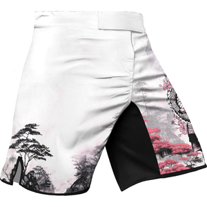 Wholesales Price Custom Made MMA <b>Shorts</b> Latest Designs Martial Arts MMA <b>Grappling</b> <b>Shorts</b> OEM Sublimation Printed Fighter <b>Shorts</b> - Product Image 1