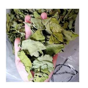 Feuilles de Taro Séchées 2026 à Livraison Rapide, Issues de Plantes de Taro Fraîches, Vente en Gros au Meilleur Prix, Qualité Supérieure, Emballage Personnalisé 100g - Product Image 1