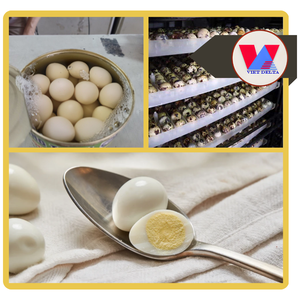 BEST SELLER 15oz Premium Tinned Quail <b>Eggs</b> Cooked Peeled Quail <b>Egg</b> Ready to Eat for Asian Hotpot Soup Baozi Braised Meats Foods - Product Image 2