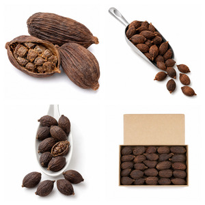 Delicious Vietnam Manufacturer Supply Best Rate Top Selling ISO Certificated Black Cardamom Bulk Supply - Product Image 2