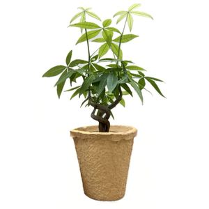 กระถางต้นไม้ขนาดเล็กแบบพกพา ทำจากเส้นใยพืช เป็นมิตรกับสิ่งแวดล้อม สำหรับใช้ในร่ม กลางแจ้ง และห้างสรรพสินค้า สไตล์อเมริกัน - Product Image 1