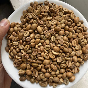 Vietnam Origin Fine Robusta Green Coffee <b>Beans</b> Anaerobic Natural Process Specialty Grade Gaia Caf Jute <b>Bag</b> 12-Month Shelf Life - Product Image 1