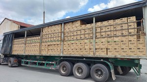 Pour l'assouplissant liquide dilué écologique 3L Classic-Vietnam Made Cheap Price - Product Image 5