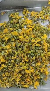 Flores de Senna Auriculata 100% Orgánicas Secadas al Sol, Té Herbal Natural de Alta Calidad, Apoyo Inmunológico y Detox, Tamil Nadu LKS - Product Image 6