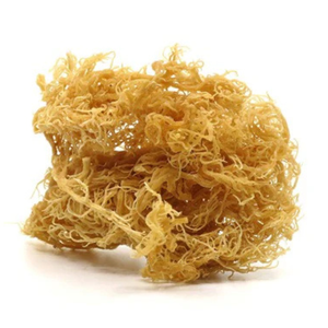 <b>natural</b> dried gold <b>sea</b> <b>moss</b> wildcrafted for energy and detox healthy lifestyle superfood bulk packaging - Product Image 1