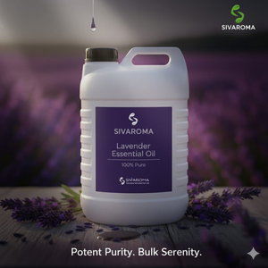 Huile Essentielle de Lavande Pure en Gros, Meilleure Vente, pour Tous Types de Peau, Beauté et Soins de la Peau - Product Image 5