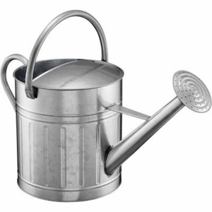 Arrosoir en acier galvanisé avec long bec et pulvérisateur amovible, résistant à la rouille, en métal robuste pour jardin - Product Image 4