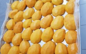 Mangues lyophilisées fabriquées à partir de tranches de mangues fraîches et mûres pour les collations et la pâtisserie, vente en gros de fruits lyophilisés du Vietnam - Product Image 5