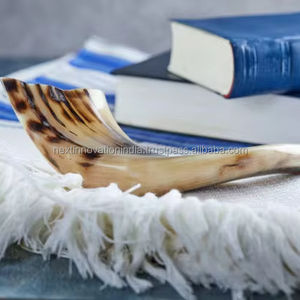 Corne de shofar israélienne avec finition traditionnelle à moitié polie idéale pour les rituels de cérémonies et les collectionneurs fabriqués à la main en Israël - Product Image 1