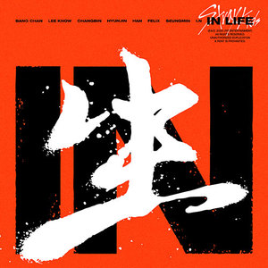 Stray Kids - อัลบั้มชุดแรกแบบรีแพ็กเกจ IN LIFE อัลบั้มเคป๊อปเกาหลีของแท้แบบ CD - Product Image 2