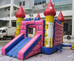 Castillo Inflable Combinado - Material de PVC para Uso Comercial y al Aire Libre - Product Image 5