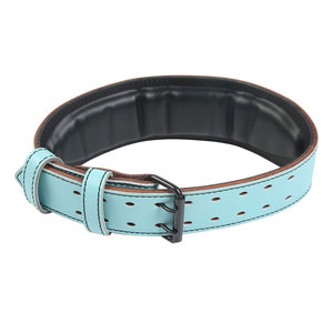 Cinturón de Levantamiento de Pesas de Cuero Azul Claro de 130 cm con Hebilla Ajustable, Soporte Lumbar para Entrenamiento de Fuerza, Unisex, para Gimnasio - Product Image 4