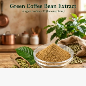 ผงสกัดเมล็ดกาแฟเขียว 60% เกรดอาหาร สารสกัดสมุนไพร วัตถุดิบสำหรับอาหารและผลิตภัณฑ์เสริมสุขภาพ - Product Image 1