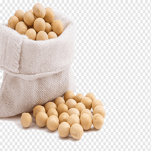 Soja a Granel No Modificada Genéticamente, Producto Agrícola de Alta Calidad para Compradores Internacionales - Product Image 6
