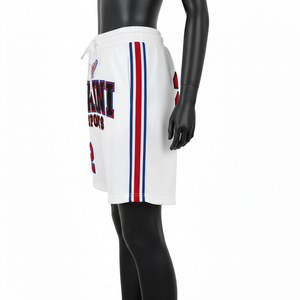 Short de basket-ball en molleton de coton et polyester de qualité supérieure, blanc, rouge, bleu, avec empiècements latéraux en chenille, broderie personnalisée, logo sur mesure, pour femmes. - Product Image 6