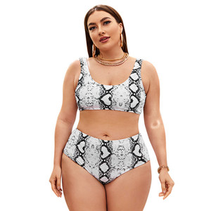Conjunto de Bikini con Estampado de Serpiente, Top Bandeau, Braguita de Cintura Alta, Talla Grande, Traje de Baño con Estampado Digital, Spandex y Poliéster - Product Image 1