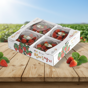 [Baekjemaru] Goodtrae Fresas Frescas con Dulzura Natural y Herramienta Profesional Duradera de Alta Calidad para Mezclar Frutas Rojas Dulces - Product Image 1