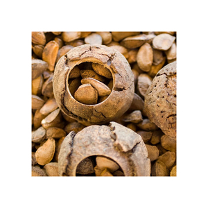 Fournisseur en gros de noix brésiliennes, prix bas, qualité nutritive - Product Image 6